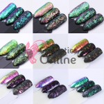 Fulgi de gheata, paiete Cameleon Amelie pentru unghii Cod FC09 + 1 aplicator